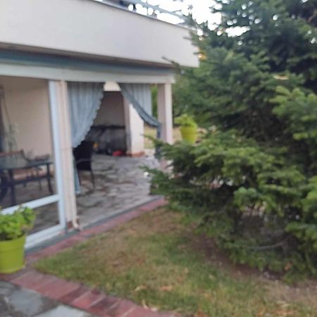Elaiones House Lejlighed Thessaloníki Eksteriør billede